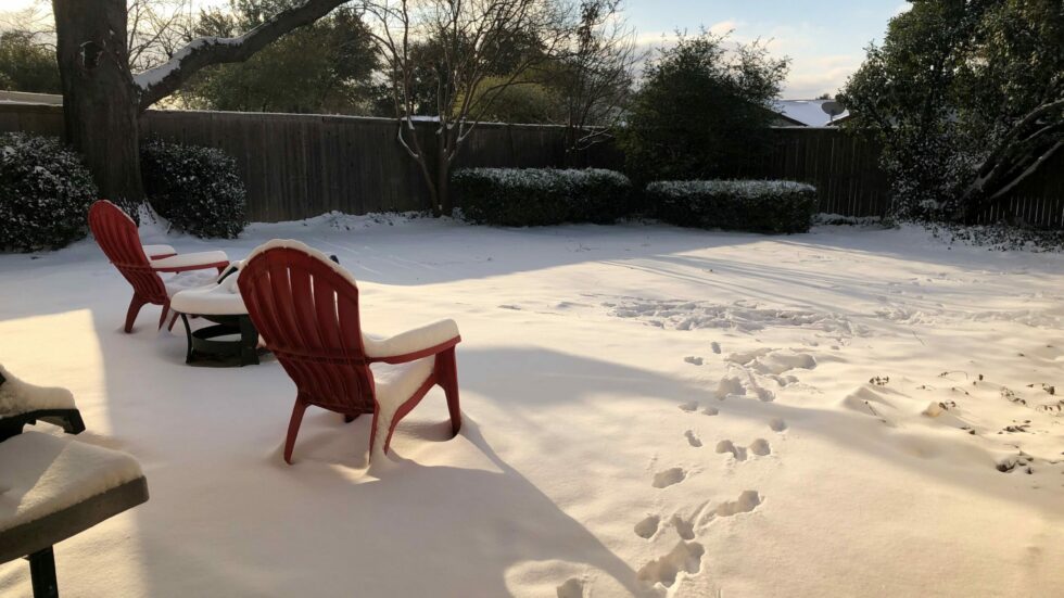 hpdArchitecture's tweet image. It's finally starting to feel like the seasons are changing in Dallas, but it might remind you of the extreme freeze we experienced earlier this year. ❄️ Don't get caught in the cold this season.
hpdarch.com/designing-your…