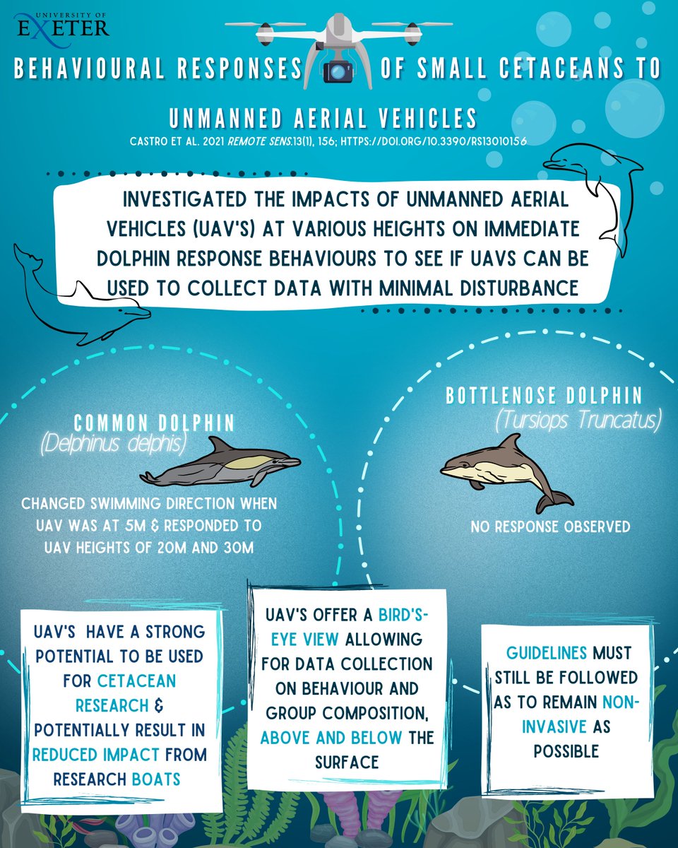 Can drones be used as a useful tool in marine conservation? Infographic for @MarineVertsMSc on the impact of UAV's on small cetaceans based on a paper by the team at <a href="/AIMMPortugal/">AIMM Portugal</a>🐬 @BrendanGodley  @VJHobson