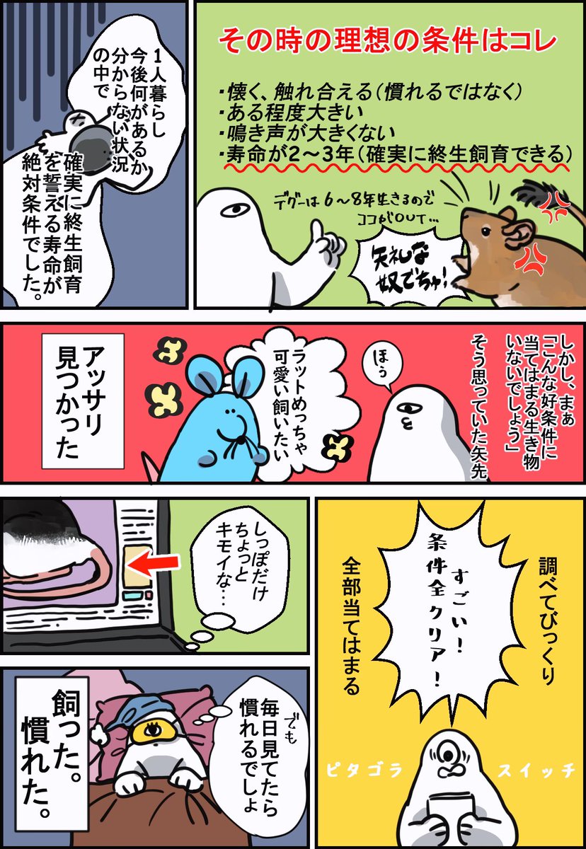 飼育を決めた時の漫画 