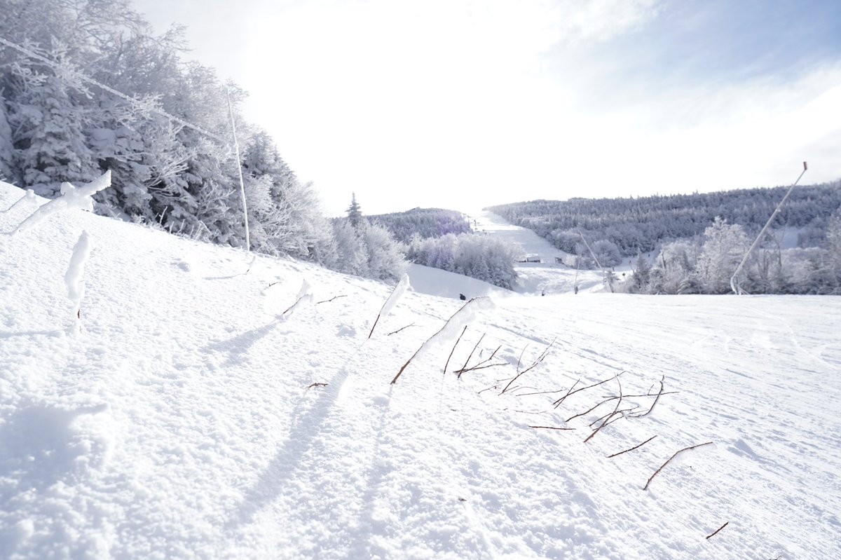 outofpodcast's tweet photo. I miss u @cannonmountain https://t.co/LXps4ANKrn