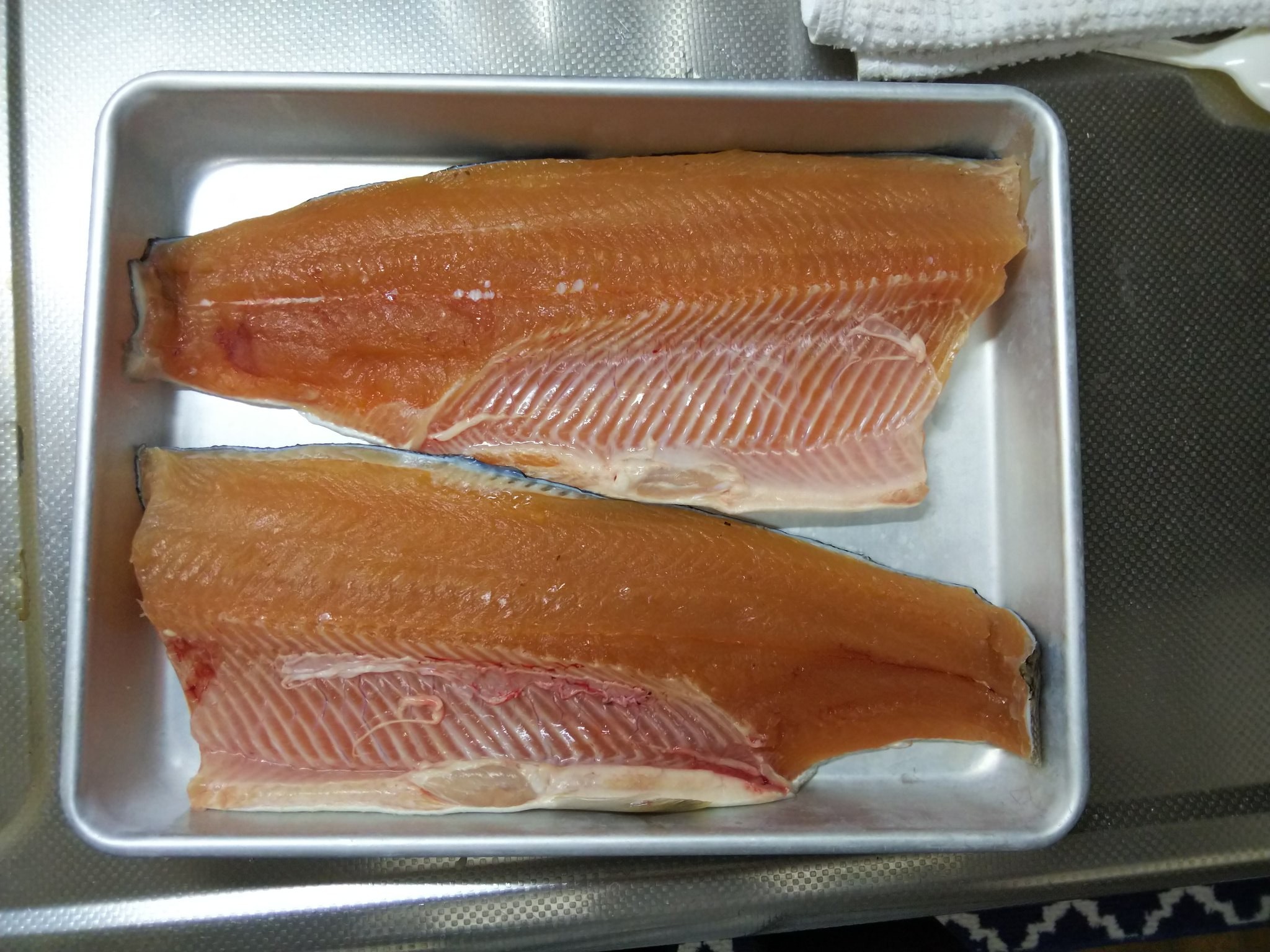 あまご ブラウントラウトが定着すると数年のうちに在来魚が激減してしまいます 冷水域であれば渓流や湖に定着 また降海して別の川に遡上して分布を広げる可能性があります 個人的にはバスと同じくらい脅威だと思ってます 美味しい魚なので 釣れたら食べ