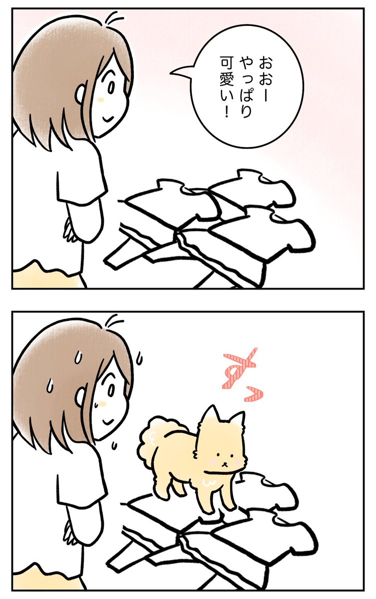 子どもが寝たら、犬の時間(1/2)

 #漫画が読めるハッシュタグ
 #育児絵日記 #さのさん3姉弟 