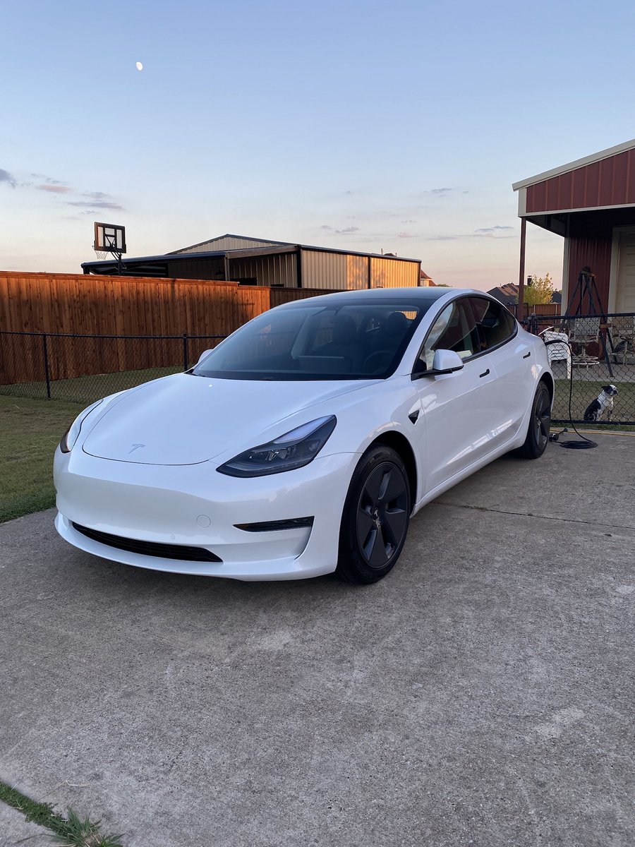 shib_tv's tweet photo. $SHIB TO THE MOON! 🌑

And $TSLA TO MARS! 🚀

Should I wrap the car and put the @Shibtoken logo on it? https://t.co/9k0C8gqGlM