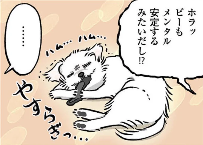 うぉーんありがとうございます😂🙏💗 今日もハムハムしてます…!! https://t.co/3WzDfTQ1pl 