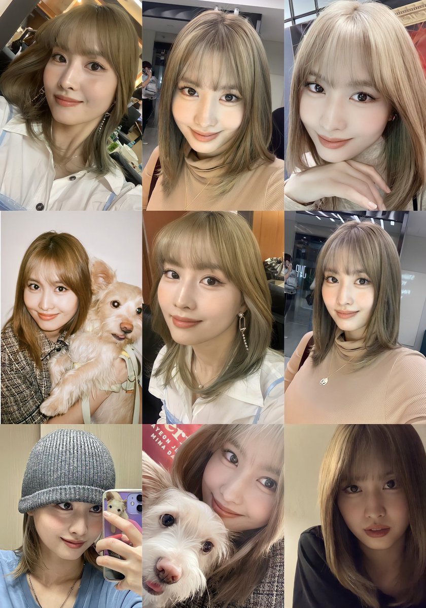 misamodaily's tweet photo. #MOMO looks so effortlessly gorgeous in this hair color https://t.co/4ziF1IL2oj