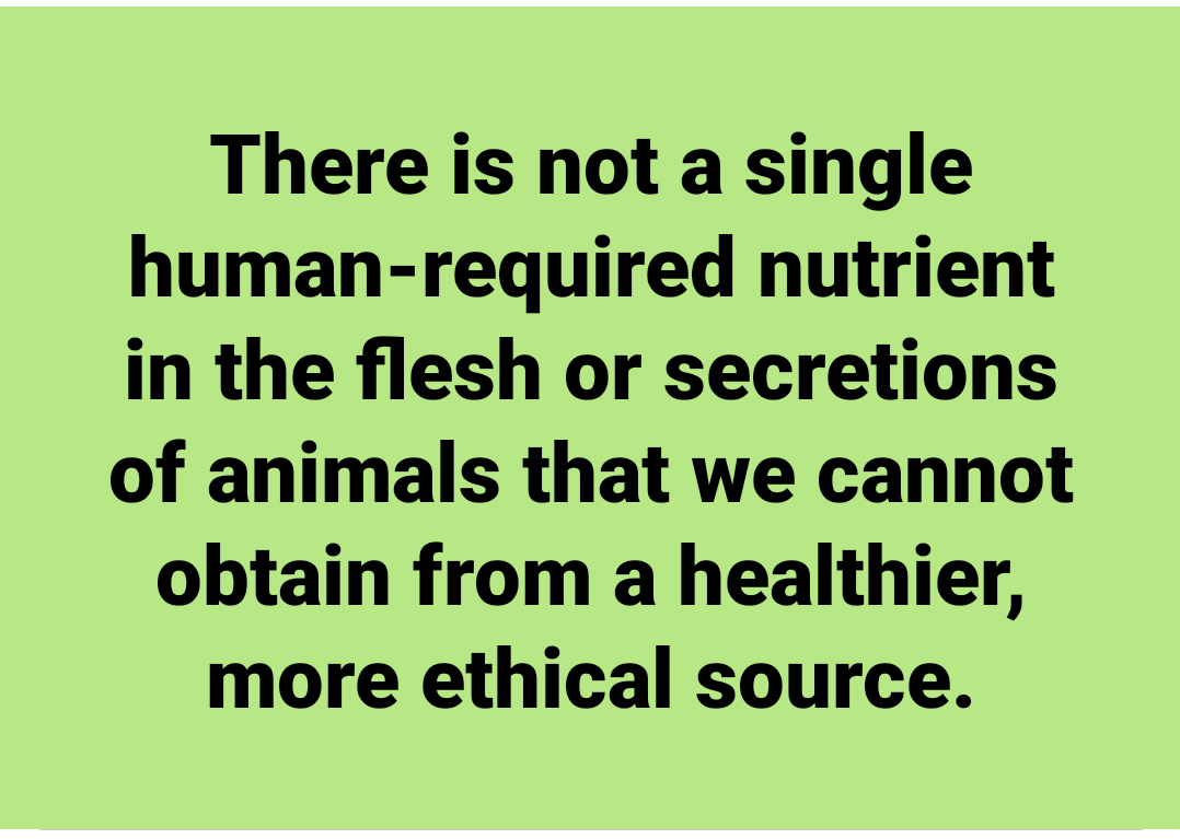 Earthling Bob tweet media