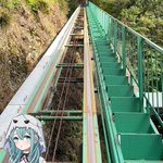 ツイートに含まれる画像