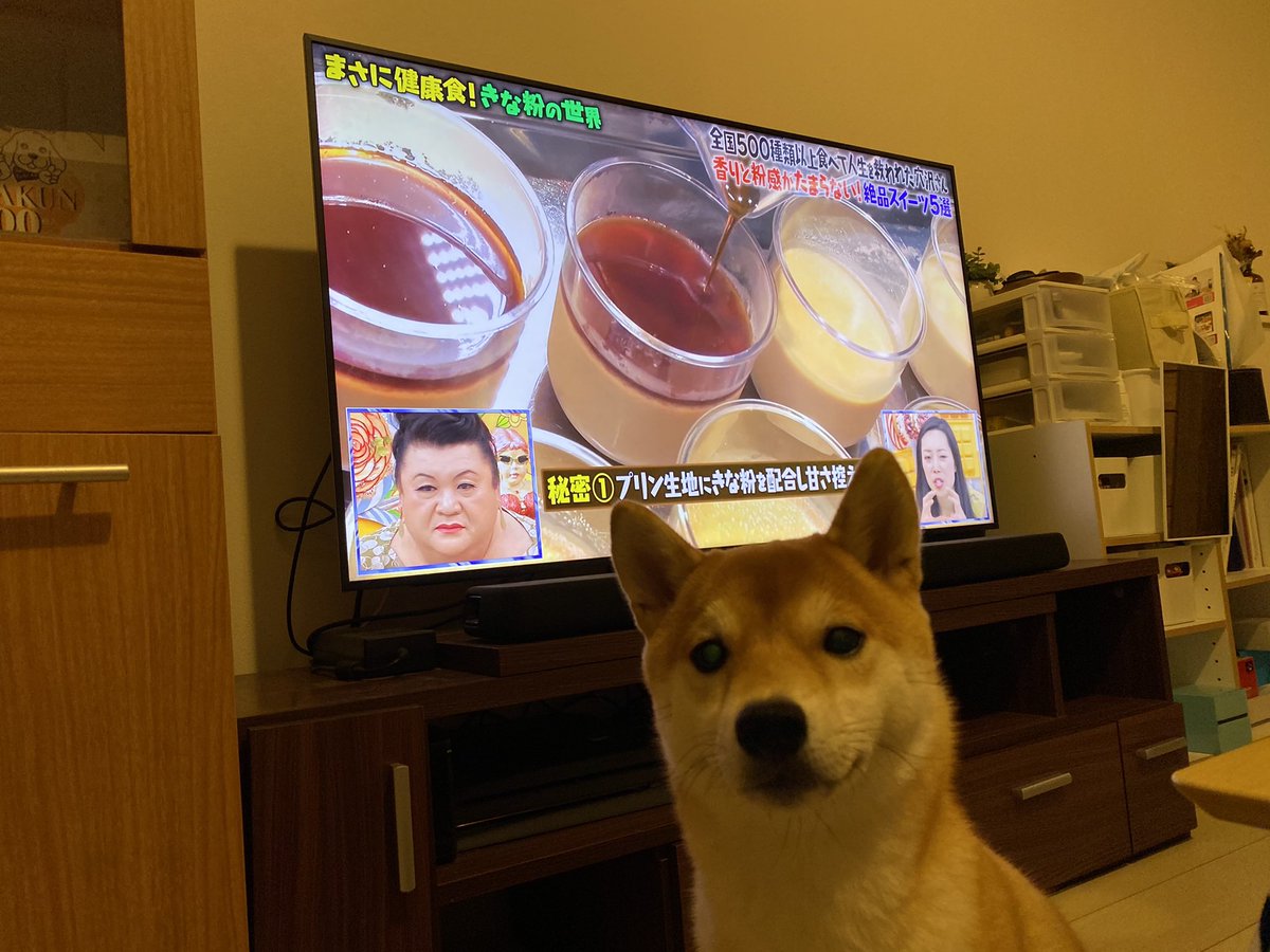 10月19日 マツコの知らない世界で きなこ が話題に 6ページ目 トレンドアットtv