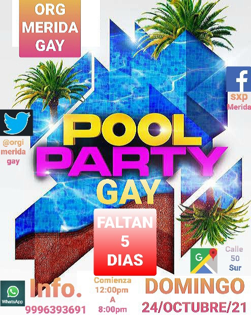 ORG MERIDA GAY tweet media