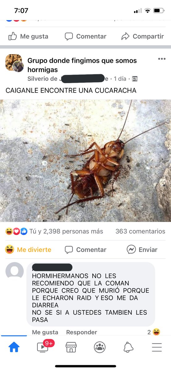 _Aghax's tweet photo. Se me olvidó que estoy en grupo de personas que se creen hormigas https://t.co/r9XOICYJgv