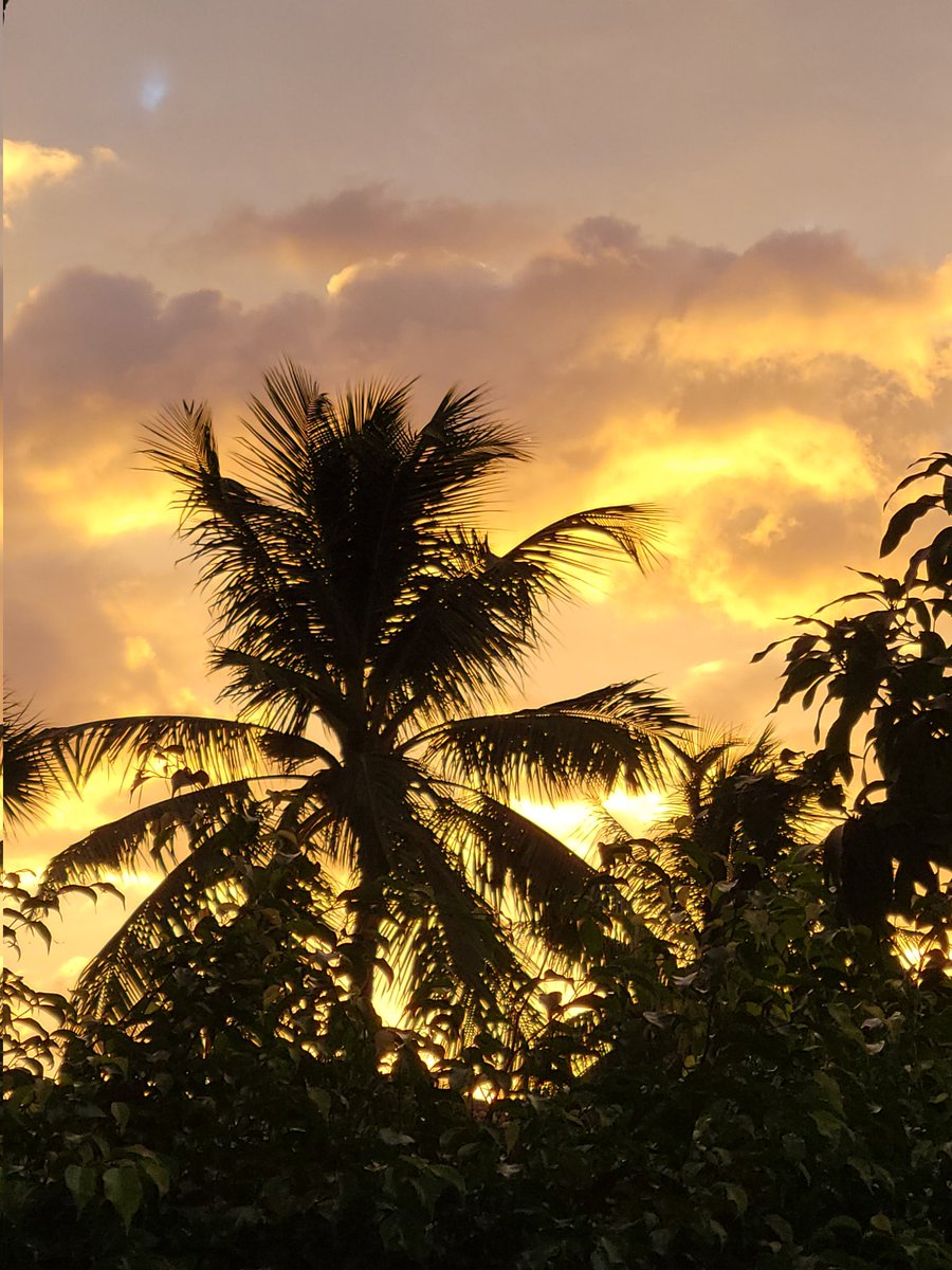 flsurfshop's tweet photo. #goodmorning #Florida is everyone enjoying this beautiful weather? https://t.co/fAqLYqBsPx