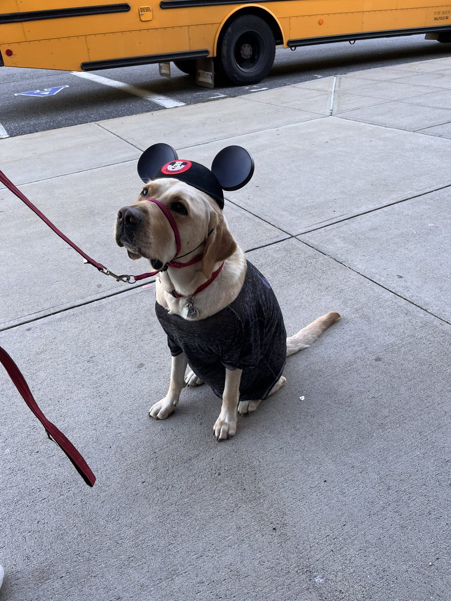 The cutest tourist for Spirit Day! <a href="/AhsHuxley/">AHSHuxley</a>