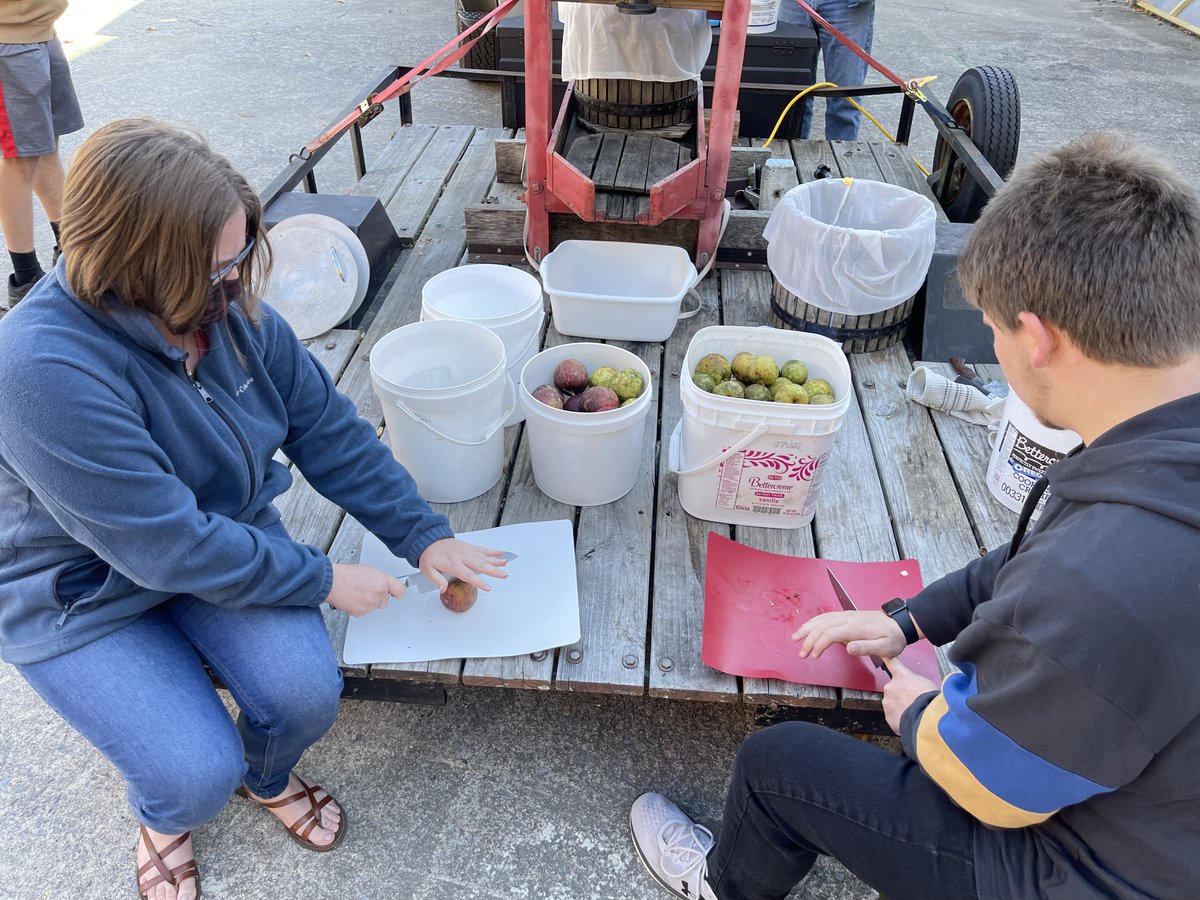 AveryCountyCTE's tweet photo. CTE students in Agriculture got a lesson in grafting and cider making from Mr. Hoffman in class today. Thank you Mr. Hoffman for sharing with our students. #AveryCTE #AgEd https://t.co/UjhTTu8XKq