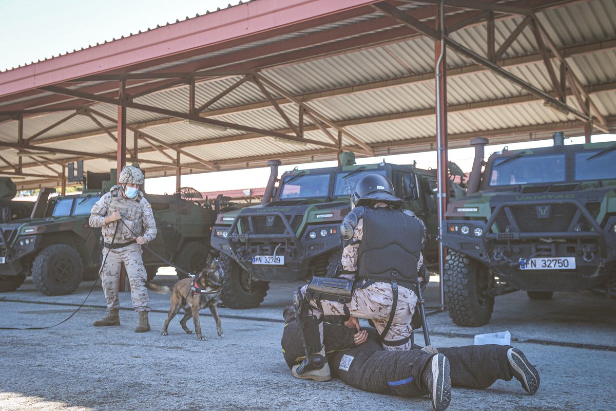 Armada_esp's tweet photo. La Fuerza de Protección de la #Armada #FUPRO se encuentra realizando ejercicios con sus unidades caninas (cinológicas) en la provincia de #Cádiz, para incrementar su #Adiestramiento y unificar tácticas y procedimientos.

#DefendemosEspañaEnYDesdeLaMar
#SomosLaArmada🇪🇸⚓️ https://t.co/2RJa4ur1t0