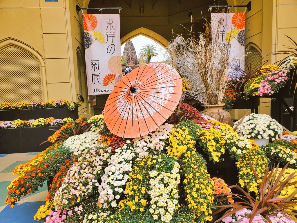 Newレオマワールド Newreoma Twitter Newレオマワールド Newreoma Twitter