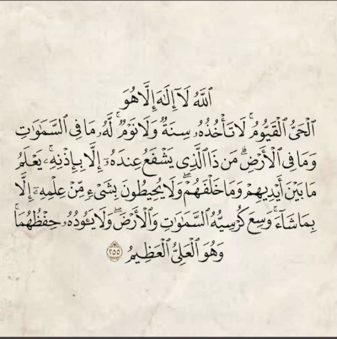 عبدالمجيد 🇧🇷 tweet media