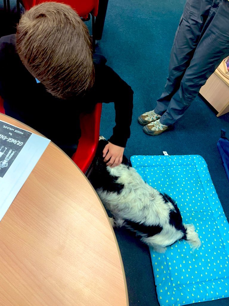 WMSLIBRARY6's tweet photo. Jeanie from Caring Canines is here to join our literacy reading session today! How lucky are we?! 🥰📚🐶 https://t.co/eMXL46tKcl