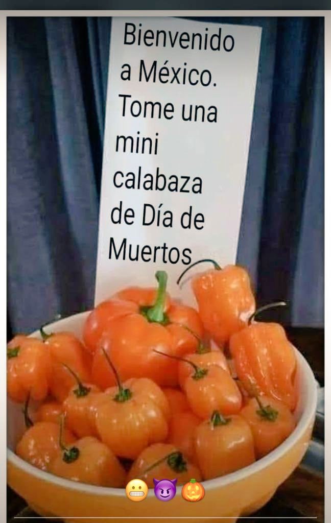 DonMemazos's tweet photo. #EsDeInventados
@yaparateoficial https://t.co/almu58wwKn
