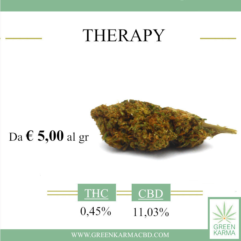 GreenKarmaCBD's tweet photo. 𝗧𝗛𝗘𝗥𝗔𝗣𝗬, varietà Kompolti, Indoor Sicilia profumo Pungente, aroma intenso con retrogusto speziato #gfvip soleil #gfvip #22ottobre #TuttiDicono #Eternals #CannabisLegale #Roma #Trieste #CBD #OlioCBD #yogalife #CrossFit #medicalcannabis #Marvel #TwitterNatureCommunity #Italy https://t.co/mtkX0wr09S