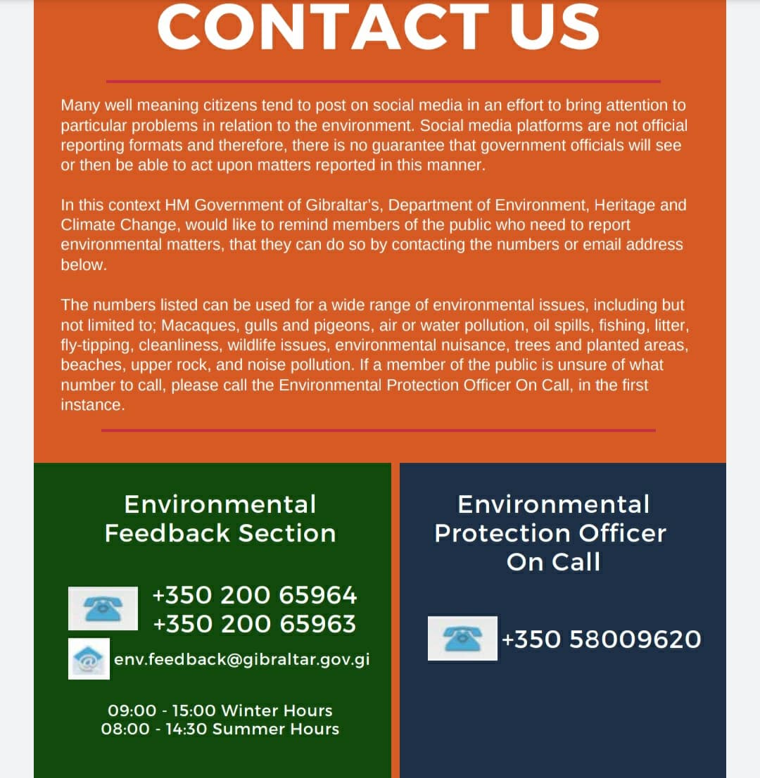 ThinkingGreenGI's tweet photo. Thinking Green Digest 2020 out now on GoG website. For an overview of all the work carried out by the Department of the Environment team 💚💚 @cortes_john

#thinkingreen #wecare #presentandfuturegreen #workingtogether 

https://t.co/qUKYpe6vi1 https://t.co/1j5R2QQatC
