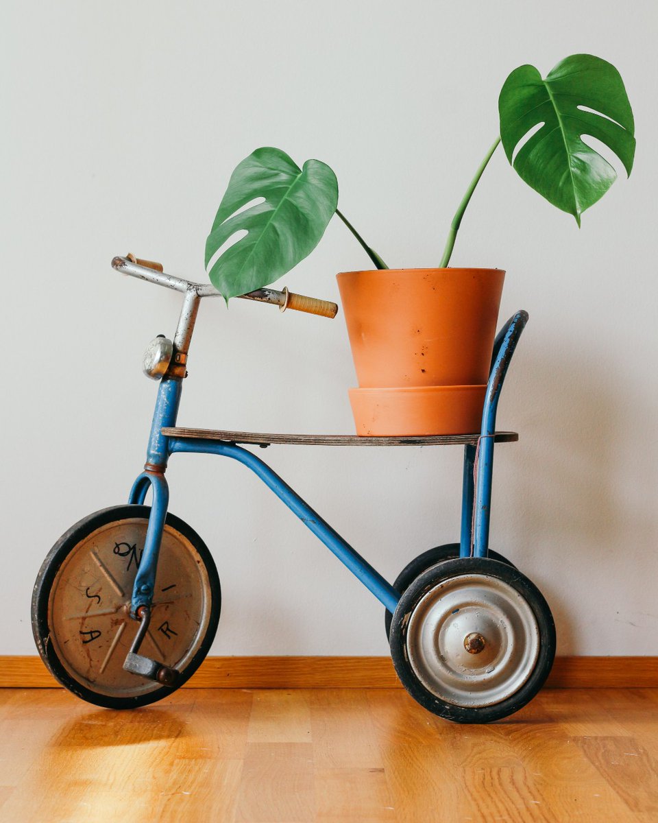 Gestivert_web's tweet photo. Gestivert vous livre vos plantes partout sur Paris et Ile-de-France 😁

Il ne vous reste plus qu'à choisir !

#plantes #plantesintérieur #plantespourtous #plantessauvages #plantesaddict #plantesdinterieur #vegetalisation #vegetalisationparis https://t.co/5b51BvQhp4