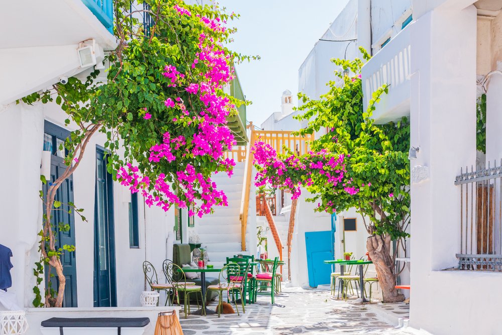 Norad Travel Group tweet media