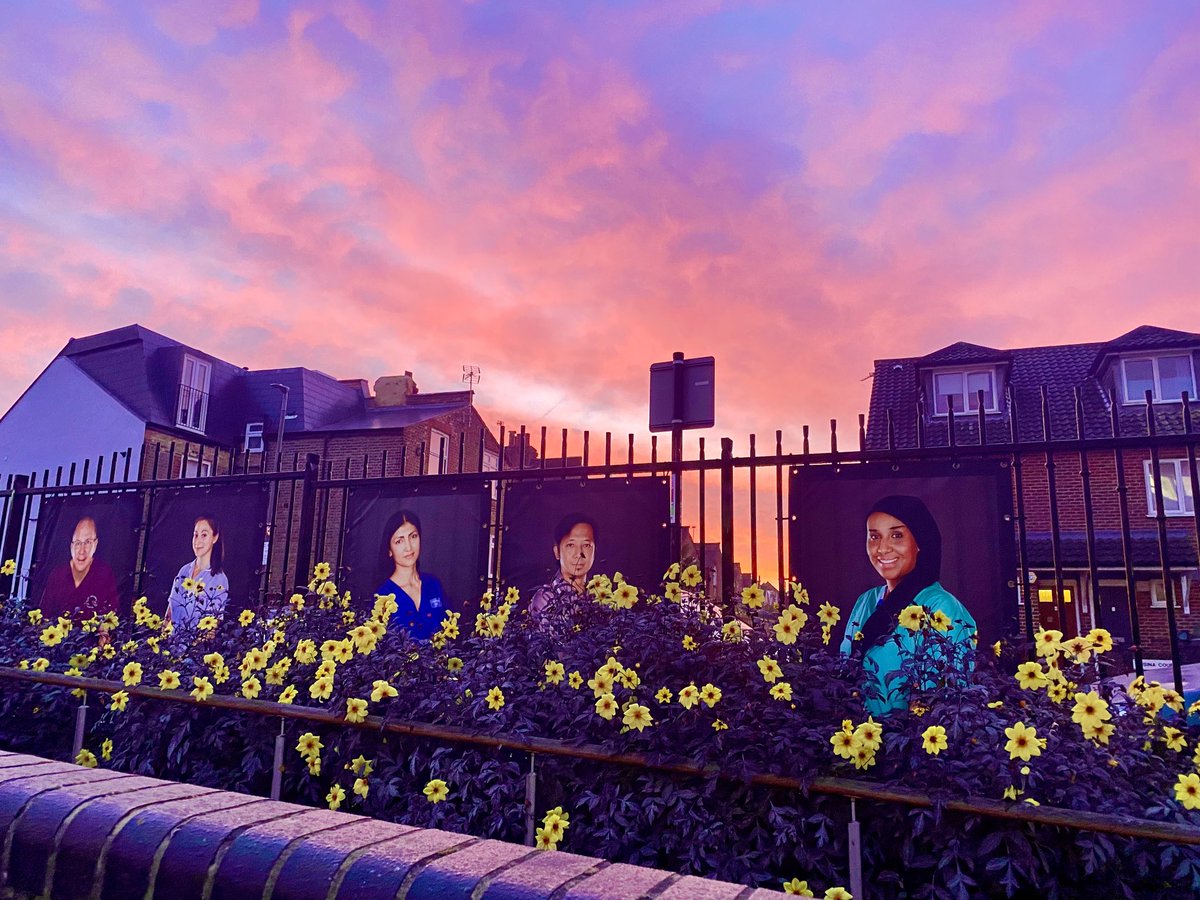 John Greco/The Blossom Warrior tweet media