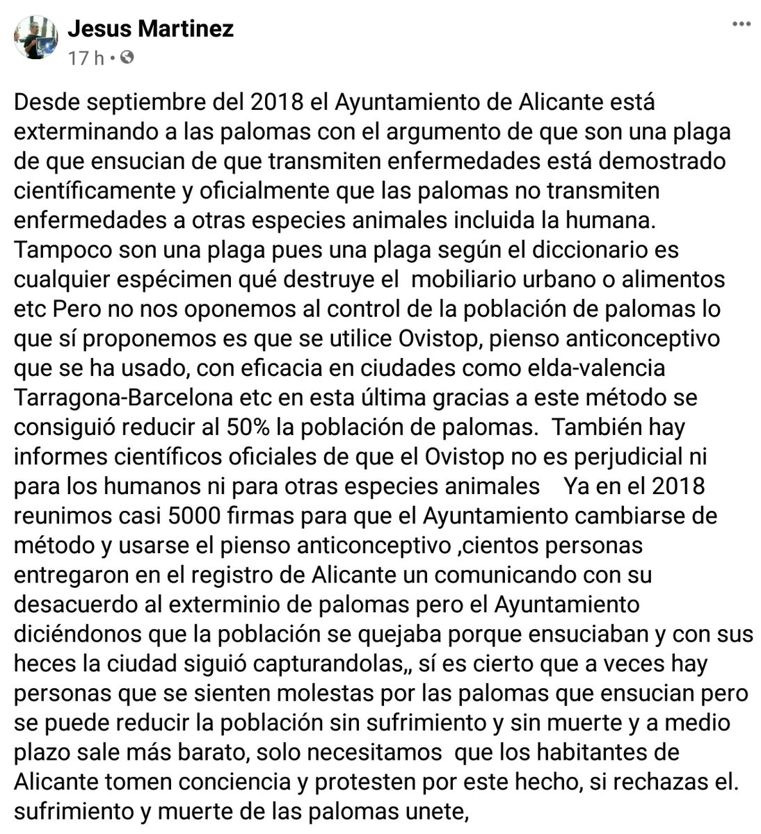 nosoyplaga's tweet photo. Difusión, por favor. Concentración contra el exterminio de palomas en Alicante.
#nosoyplaga https://t.co/KVYYUE1f4R