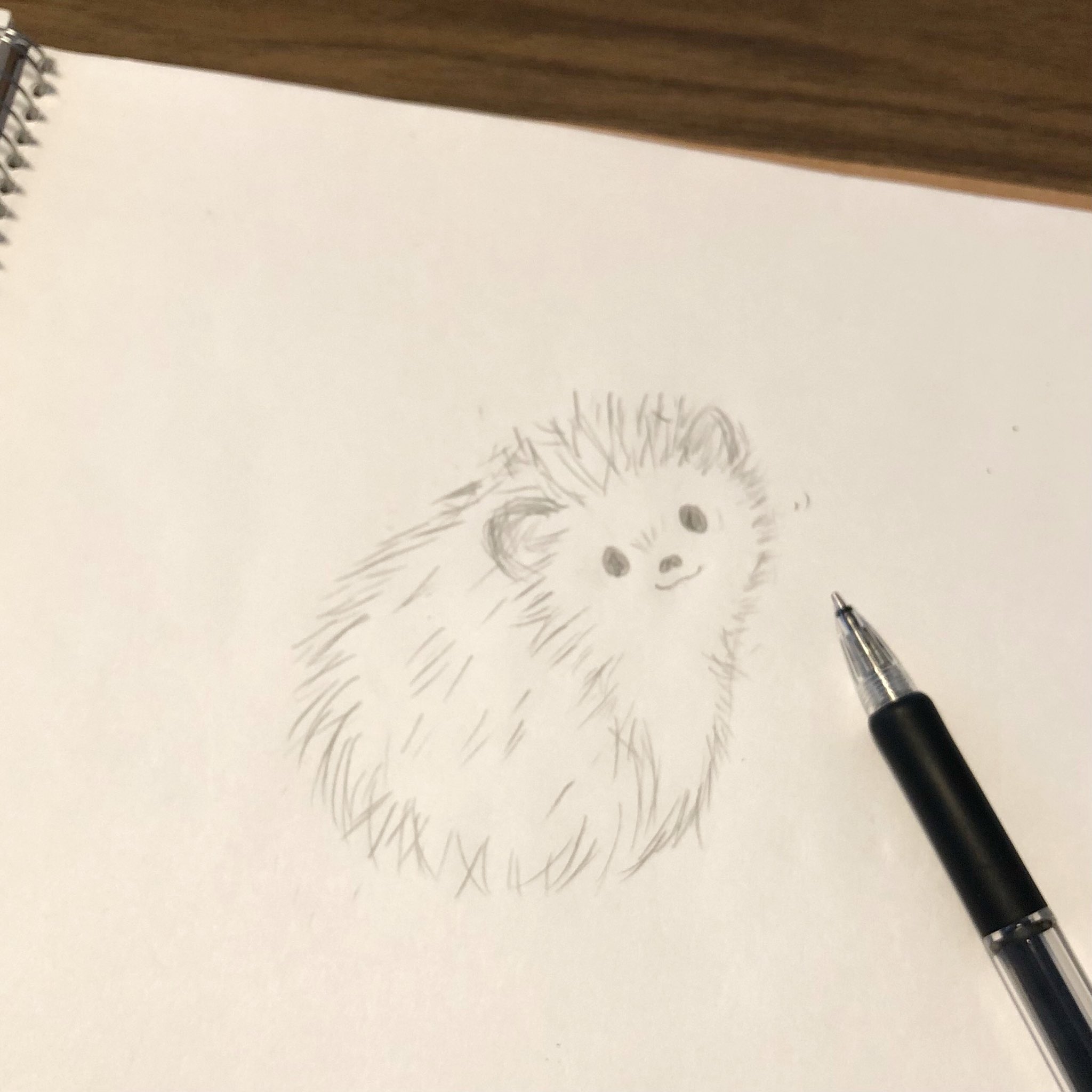 ハリネズミイラスト Twitter Search Twitter
