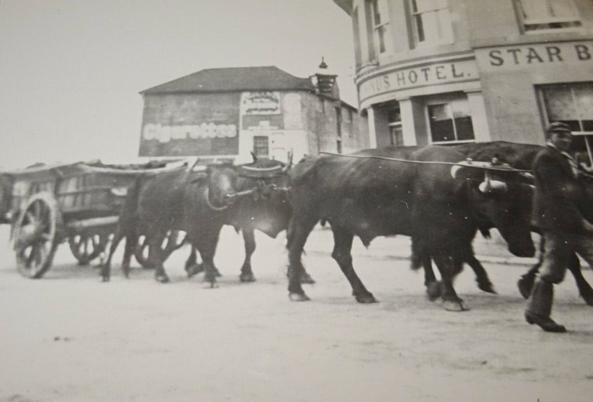 Hania_Franek's tweet photo. #Hailsham Railway Station 1849 - 1968 on the #CuckooLine. The Terminus pub nearby acknowledged its role until 1880. A housing estate was built on the site after the station was demolished. #RailwayHistory https://t.co/8gYudCT9Xp