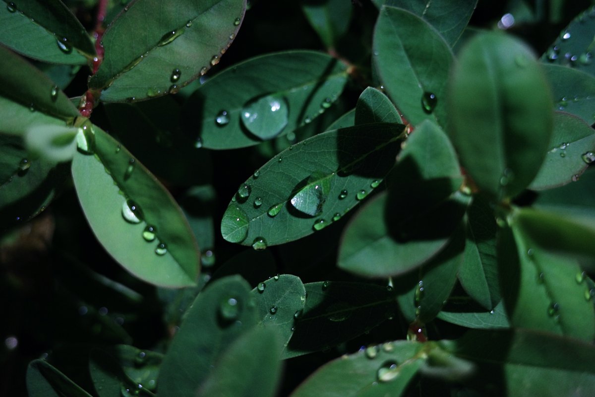 ytbo's tweet image. GR3x、夜で暗くても手持ちjpegで良く撮れます。本体に耳をピッとつけて中の音を聞くと、手振れ補正がムニョムニョ頑張ってくれているのが分かります。

#gr3r
#gr3