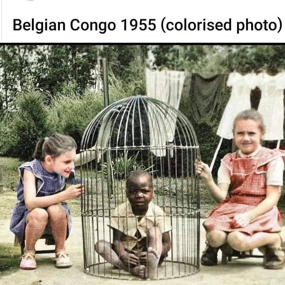 Do you know why they pulled down and burned the statute of Leopold II in Belgium?

#humanzoo #leopold #racism #systematicracism #blm #modernhistory #congoweek2021