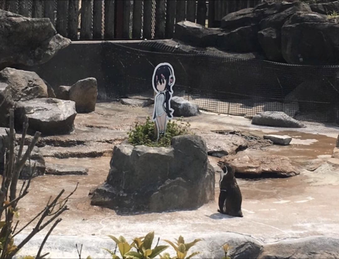 XxcynicalS's tweet photo. Y’know, with all the “It’s a spooky month” and “cancel Halloween BS” going around, let’s not forget that this month 4 years ago was when Grape-kun passed away and onto a better life.
Please retweet to keep the memory alive. He was a real one 🖤🤍
#GrapeKun #RememberGrapeKun https://t.co/Fv5QOHgBOt