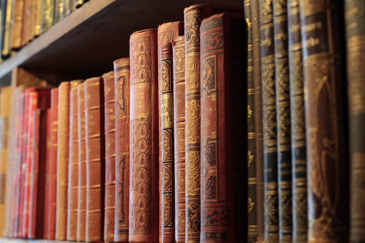 “Literature is strewn with the wreckage of those who have minded beyond reason the opinion of others.” 📚

― Virginia Woolf, A Room of One's Own