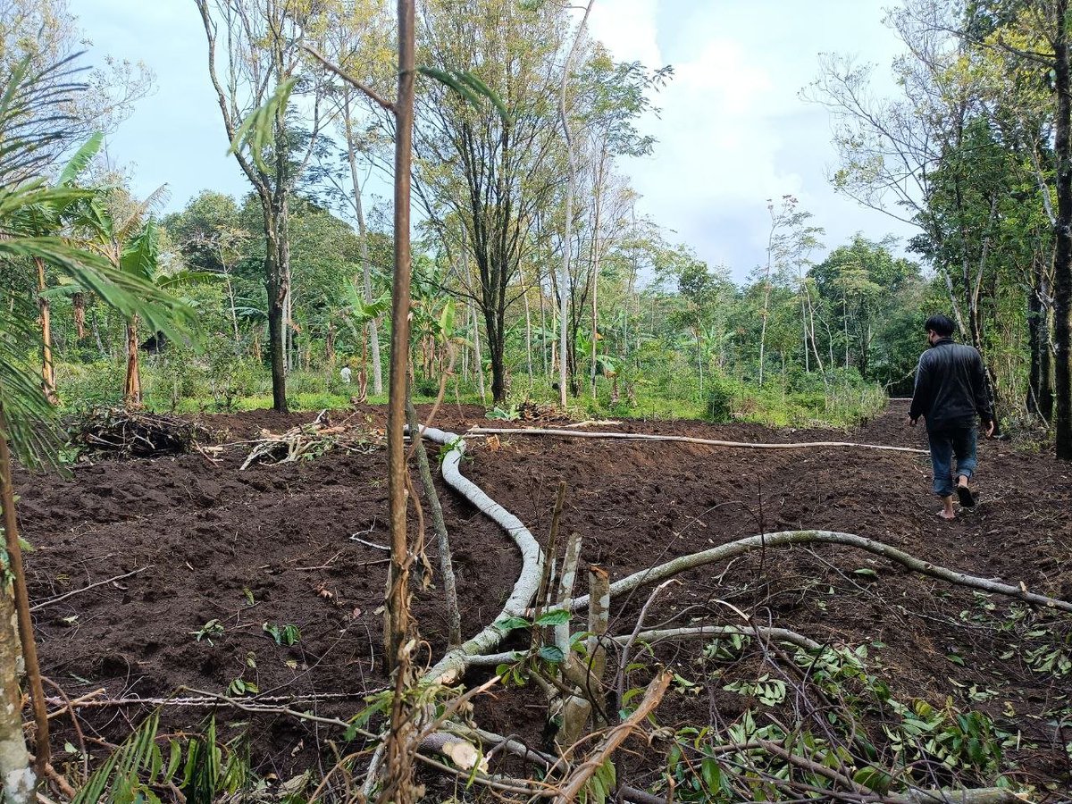 TokenJagoku's tweet photo. #REPORTASE

Selanjutnya Team diajak oleh CEO untuk melihat persiapan lahan Ke-3 untuk Pilot project JAGOKU TOKEN . Info terupdate ,akhir bulan oktober lahan ini sudah siap Tanam https://t.co/YoCKI8eA51