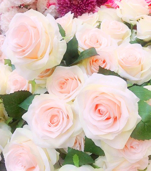 Princess_4s's tweet photo. @Ashok_0573 Good DAY beloved ASHOK!! https://t.co/aZbcGHvhsO