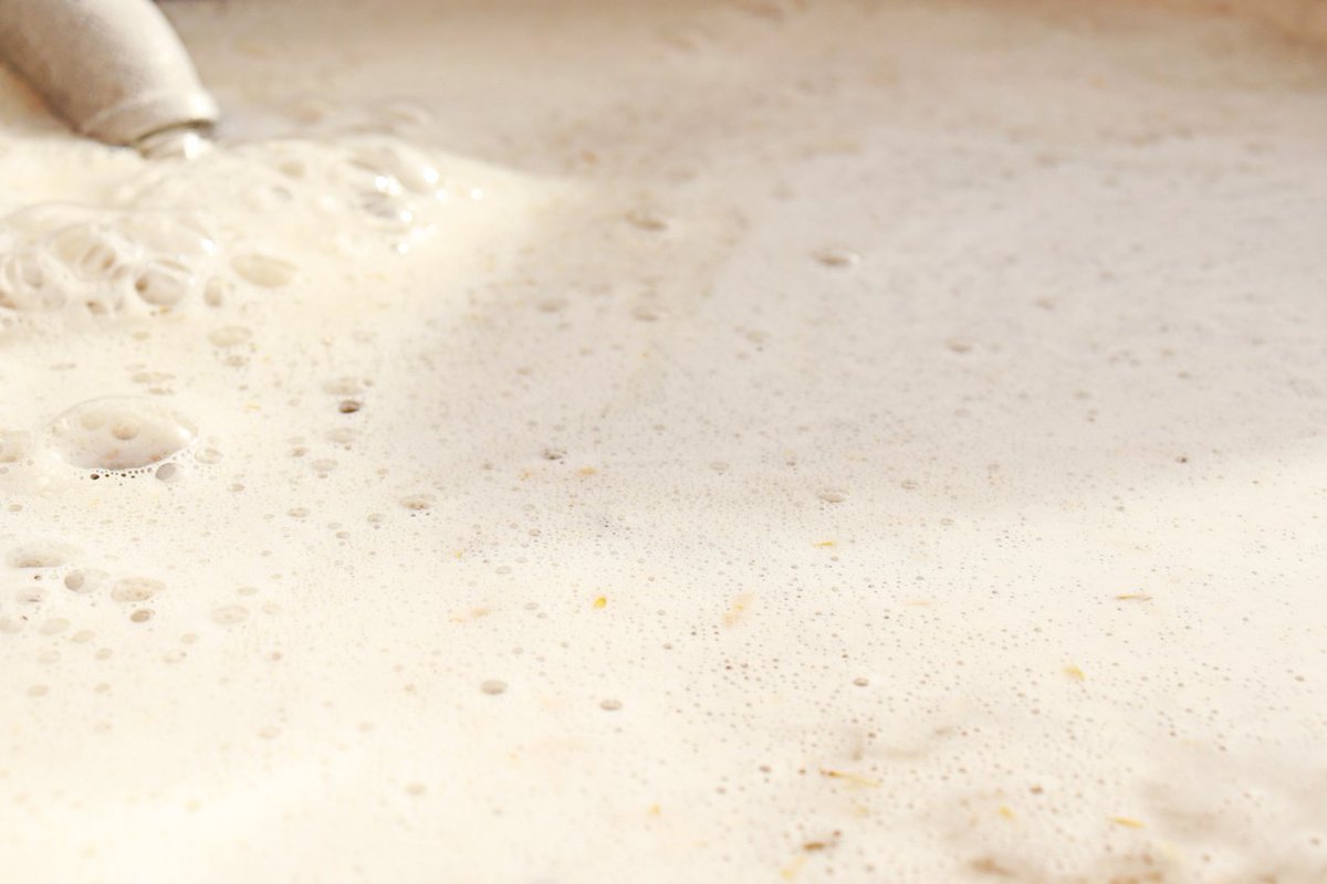 CentrePlacet's tweet photo. La communauté Placet s'est initiée au brassage de la bière ce lundi 18 octobre avec notre collègue David 🍻 https://t.co/51OwIo9NJh