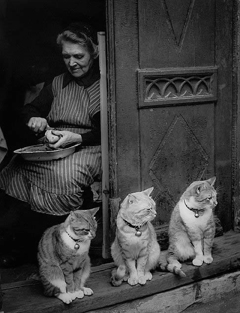 PierreBotte1's tweet photo. 3 guardian angels          :-) https://t.co/GTbiWjTs7Y