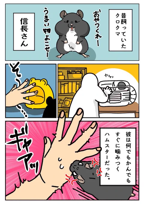 昔飼っていたハムスターの話 