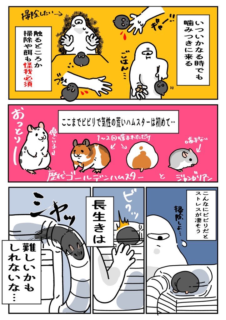 昔飼っていたハムスターの話 
