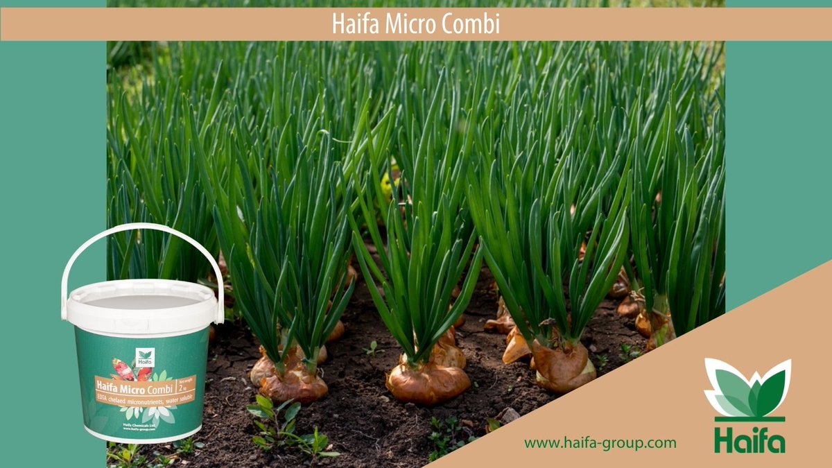 Haifa_SEE's tweet photo. Haifa Micro Combi
Complete set of trace elements for foliar application during the 3rd & 4th sex development stage
#Haifa #MicroCombi https://t.co/tcgwLtglQw