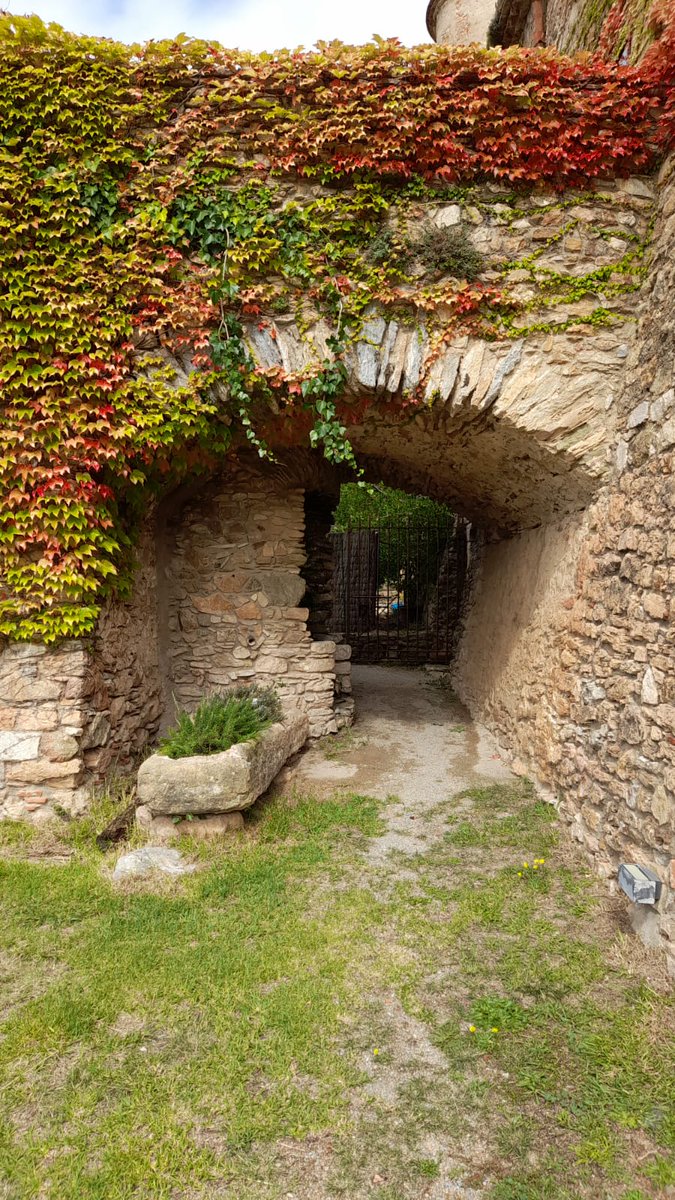 sesgarites's tweet photo. Bon dia!
Ben entrada la tardor, Ses Garites es veu així 🍁🍂🍃  #PALS #historia #sesgarites #turismerural https://t.co/v94sbx0aM4