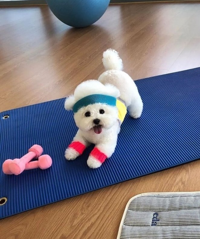 TripleL256's tweet photo. Let's get physical https://t.co/fTk3PJmrYX