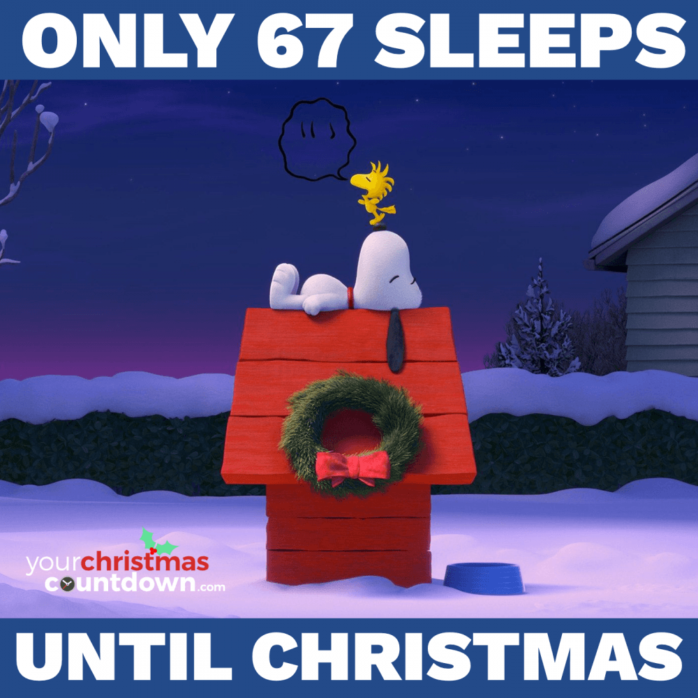 christmas_clock's tweet photo. 67 SLEEPS UNTIL  #CHRISTMAS!
 🕒 https://t.co/08kJVAWqc2 🎄🎅 https://t.co/k7lmhvvTg4