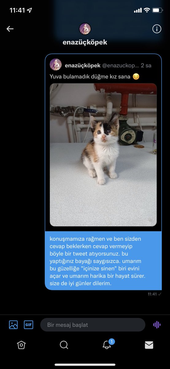 arkadaşlar aylar önce kedimi kaybettiğimi burada da paylaşmıştım. şu an ayrı bir eve çıktım ve tekrardan kedi sahiplenmeye hazırım. internetten ilanlara bakarken böyle birine denk geldim, oldukça da öfkeliyim. ben bunun yaşla bir alakası olduğunu düşünmüyorum++