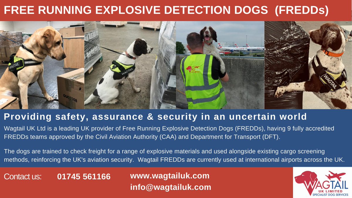 Wagtail_Courses's tweet photo. Wagtail are at @multimodal 19-21 Oct NEC Birmingham with information on our Free Running Explosive Detection Dogs #FREDDS
#cargo #detectiondogs #multimodal21 #dogs #snifferdogs #screening #airports https://t.co/eqwvLBEkqn