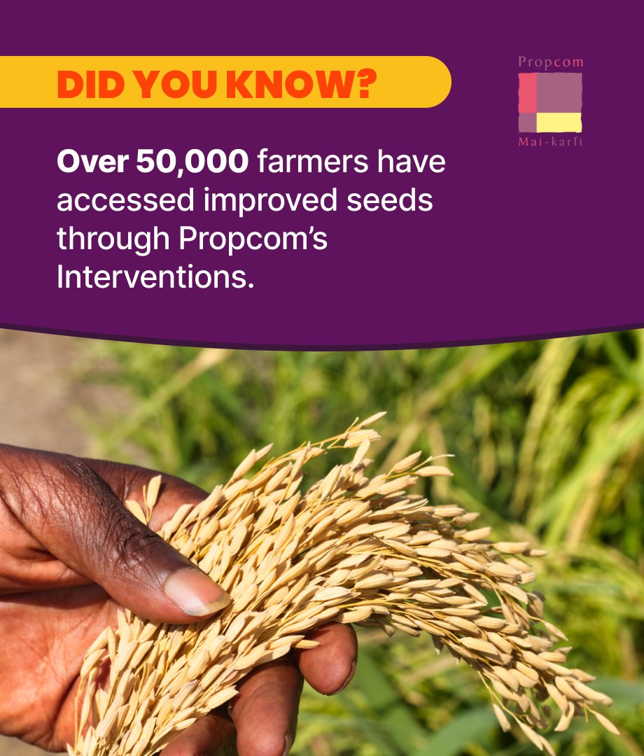Propcomplus's tweet photo. #Climatechange threatens farmersโ productivity & food security, especially in Northern Nigeria. To help farmers adapt, we supported our partners to produce improved seeds in affordable packs & distribute in rural areas. ย
#PM9YearsofImpact #UKAid #ClimateAction #ClimateAdaptation https://t.co/omJ7tywWiS