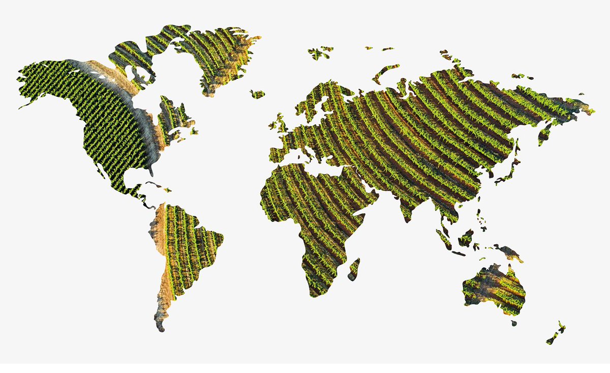 TSG Consulting tweet media