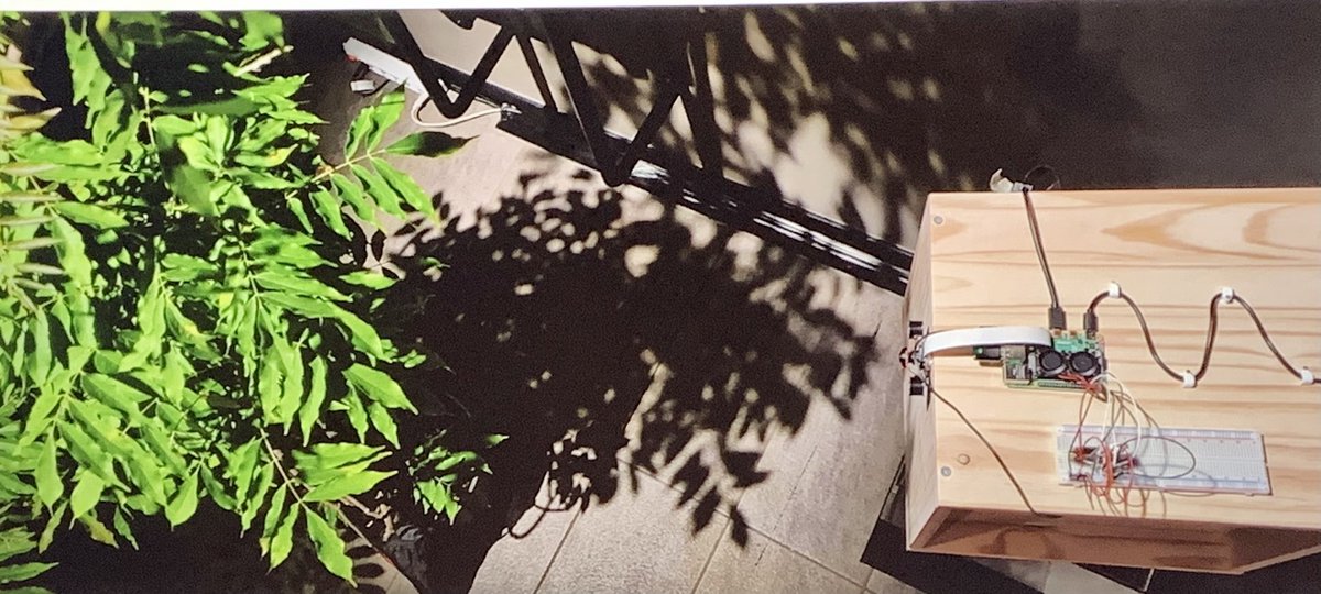 bnox's tweet image. Salvatore talks about #slowdata (cf. slow food). Image: an AI that grows one data entry at a time. It is in a loving relationship with a plant.