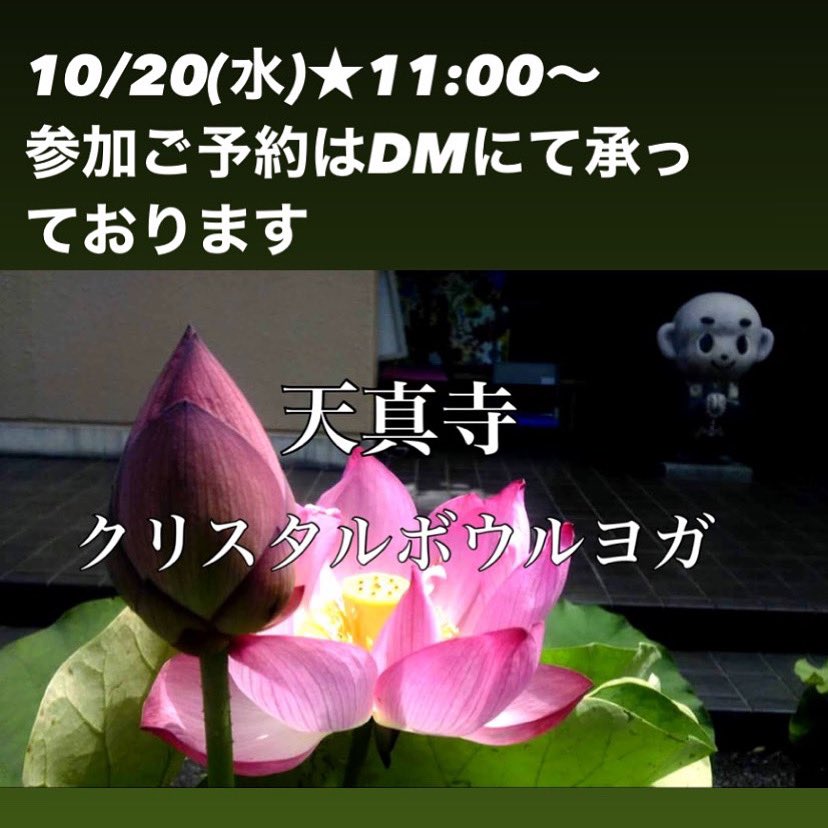yogataeco's tweet photo. 明日です。久しぶりの開催となります。ご予約お待ちしております。 https://t.co/uGvk50hsME